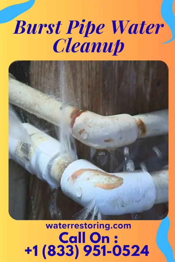 Burst Pipe Water Cleanup in McMechen, WV