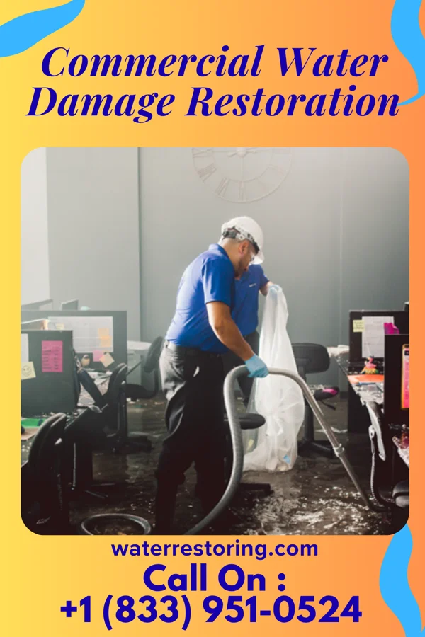 Commercial Water Damage Restoration in McMechen, WV