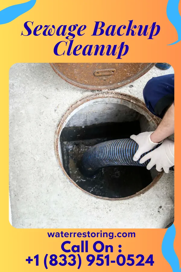 Sewage Backup Cleanup in McMechen, WV