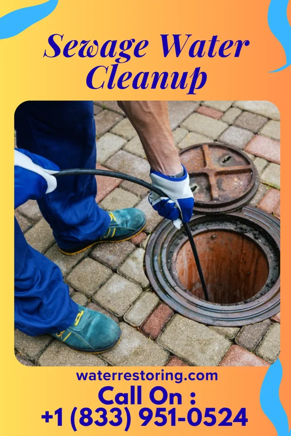 Sewage Water Cleanup in McMechen, WV